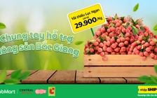 GrabMart chung tay 'giải cứu' vải thiều Bắc Giang