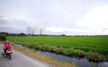 TP.HCM thu hồi 577 dự án chậm triển khai