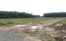 Kiến nghị công an điều tra Công ty cổ phần Địa ốc Alibaba