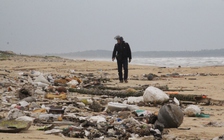 Dầu vón cục xuất hiện dọc bờ biển Quảng Nam