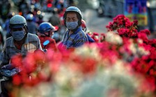 Chiều 29 tết: TP.HCM kêu gọi 'giải cứu hoa tết' hỗ trợ nông dân