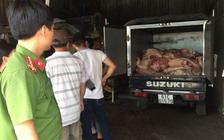 Bắt giữ hàng trăm ký thịt heo bẩn