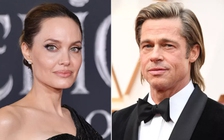 Chi tiết cuộc cãi vã trên máy bay năm 2016 của Angelina Jolie và Brad Pitt