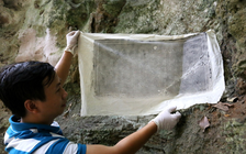 Sự kiện văn hóa tuần qua: Ma nhai Ngũ Hành Sơn chính thức trở thành Di sản tư liệu thế giới