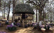 Nét văn hóa Tây Nguyên trong Tuần văn hóa du lịch Măng Đen 2022