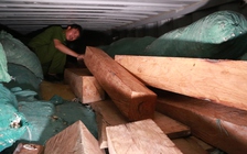 Bắt một xe container chở gỗ lậu từ Lào về Việt Nam