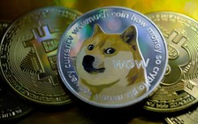 Trở thành triệu phú Dogecoin nhờ nghe theo Elon Musk