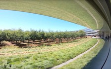 Apple làm gì trước làn sóng di cư khỏi Thung lũng Silicon?