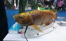 Trung Quốc trình diễn robot do thám đội lốt cá rồng