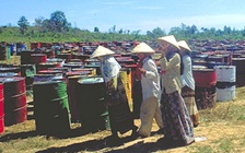 Formosa 'nổi tiếng' phá hoại môi trường nhiều nơi trên thế giới