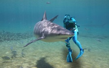 Hé lộ chương trình ‘cá mập cảm tử’ của Hải quân Mỹ