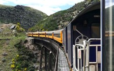 Xe lửa tình yêu ở New Zealand