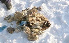 Nga xác định 54 bàn tay bị chặt lìa có nguồn gốc từ phòng pháp y