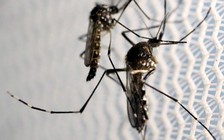 Trung Quốc sẽ dùng radar quân sự chống muỗi