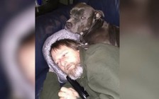 Chó liếm gây nhiễm trùng máu, người đàn ông bị cắt bỏ tay chân