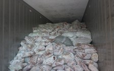 Singapore tịch thu 12,9 tấn vảy tê tê chuyển từ Nigeria sang Việt Nam