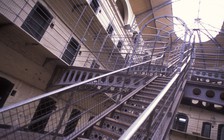 Tù nhân Mỹ kiện nhà tù vì chuột, giòi lổm nhổm