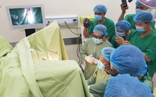 Nên chữa trị bệnh trĩ như thế nào?