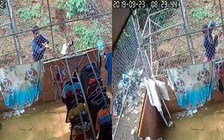 Bác sĩ nói gì về 'thú đau thương'... trộm đồ lót?