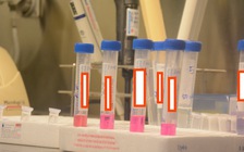 Bệnh nhân Covid-19 người Anh khỏi bệnh rồi lại dương tính đã tiếp xúc 50 người