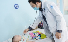 TP.HCM triển khai phòng chống sốt xuất huyết, tay chân miệng, bạch hầu, Covid-19