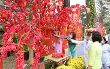 Bệnh viện Chợ Rẫy: Tổ chức đường hoa xuân dành cho bệnh nhân