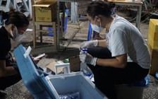 TP.HCM: Bệnh nhân Covid-19 tử vong ở Q.Gò Vấp từng có kết quả xét nghiệm âm tính