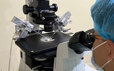 Thụ thai thành công bằng tinh trùng non, mở ra cơ hội cho đàn ông hiếm muộn