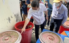 TP.HCM: Số ca mắc sốt xuất huyết tăng hơn 6,5 lần so với cùng kỳ năm 2021