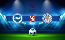 Trực tiếp bóng đá Brighton vs Leicester City, Premier League, 20:00 19/09/2021
