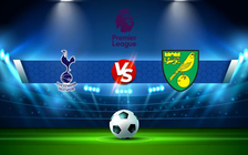 Trực tiếp bóng đá Tottenham vs Norwich, Premier League, 21:00 05/12/2021