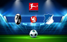 Trực tiếp bóng đá Freiburg vs Hoffenheim, Bundesliga, 21:30 11/12/2021