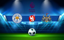 Trực tiếp bóng đá Leicester City vs Newcastle, Premier League, 21:00 12/12/2021