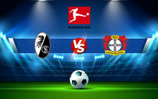 Trực tiếp bóng đá Freiburg vs Bayer Leverkusen, Bundesliga, 21:30 19/12/2021