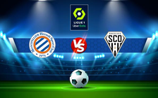 Trực tiếp bóng đá Montpellier vs Angers, Ligue 1, 03:00 23/12/2021