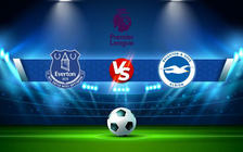 Trực tiếp bóng đá Everton vs Brighton, Premier League, 21:00 02/01/2022