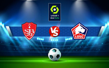 Trực tiếp bóng đá Brest vs Lille, Ligue 1, 23:00 22/01/2022