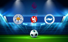 Trực tiếp bóng đá Leicester City vs Brighton, Premier League, 21:00 23/01/2022