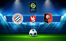 Trực tiếp bóng đá Montpellier vs Rennes, Ligue 1, 03:00 26/02/2022