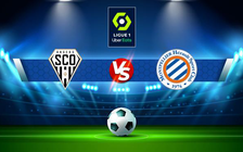 Trực tiếp bóng đá Angers vs Montpellier, Ligue 1, 02:00 22/05/2022