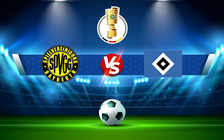 Trực tiếp bóng đá SpVgg Bayreuth vs Hamburger SV, DFB Pokal, 20:31 30/07/2022