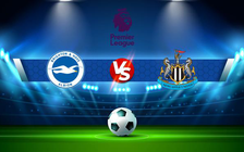 Trực tiếp bóng đá Brighton vs Newcastle, Premier League, 21:00 13/08/2022