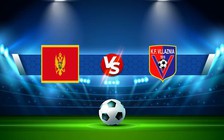 Trực tiếp bóng đá Montenegro vs Phần Lan, UEFA Nations League, 01:45 27/09/2022