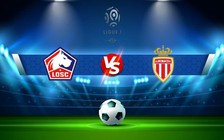 Trực tiếp bóng đá Lille vs Monaco, Ligue 1, 01:45 24/10/2022