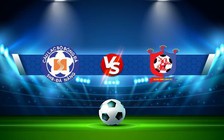 Trực tiếp bóng đá CLB Đà Nẵng vs CLB Bình Định, V.League 1, 17:00 13/11/2022