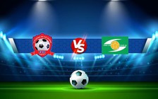 Trực tiếp bóng đá Hải Phòng vs SLNA, V.League 1, 17:00 13/11/2022