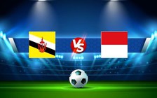 Trực tiếp bóng đá Brunei vs Indonesia, AFF Cup , 17:00 26/12/2022