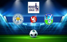 Trực tiếp bóng đá Leicester City vs Newcastle, Premier League, 22:00 26/12/2022