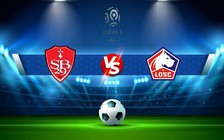 Trực tiếp bóng đá Brest vs Lille, Ligue 1, 01:00 12/01/2023