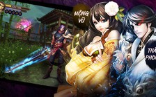 Phong Vân 3D: Cẩm nang cho game thủ khi max level